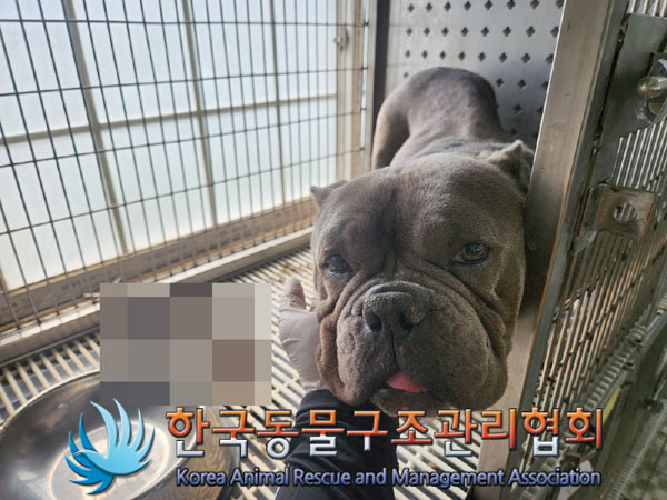 한국동물구조관리협회_441398202300098
